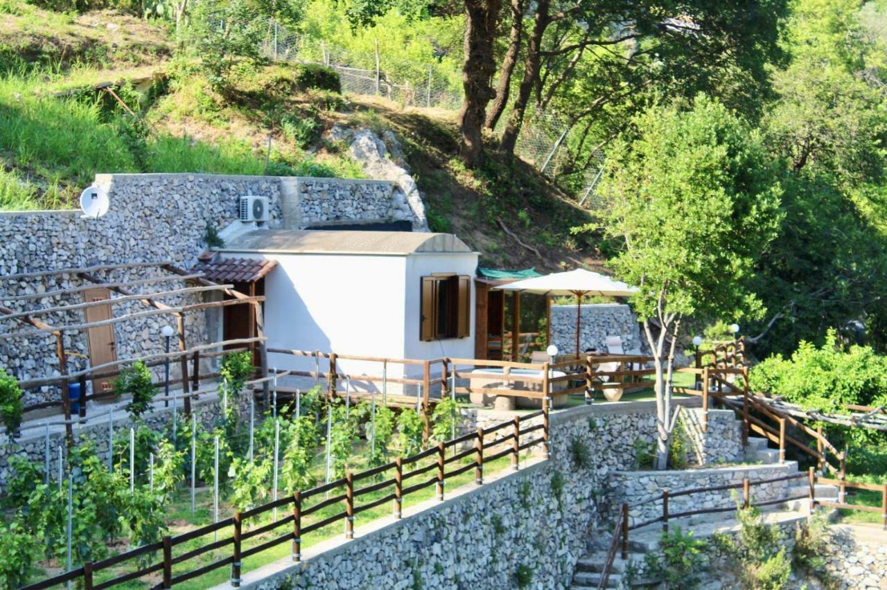 Tenuta Bosco-Casa Vacanze Cetara Exterior photo